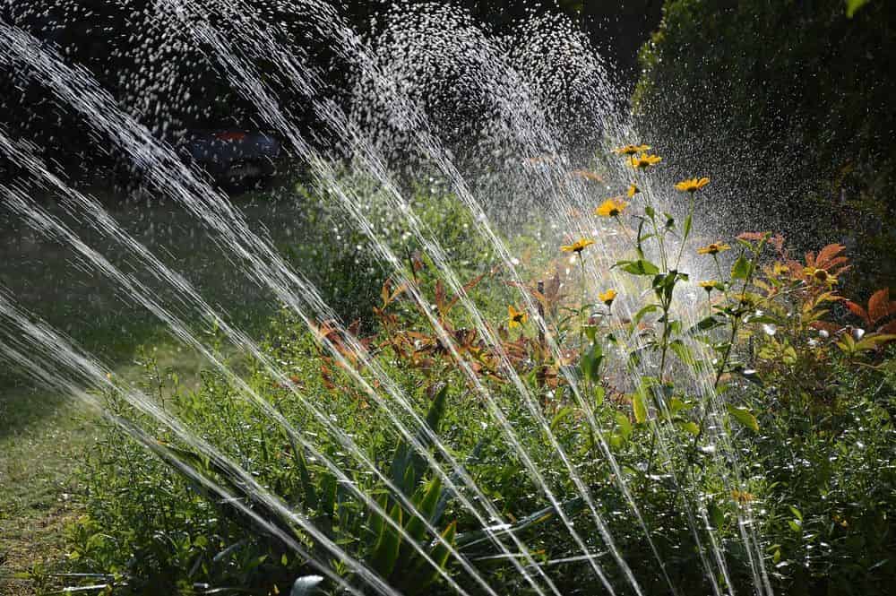 Irrigation Installations image