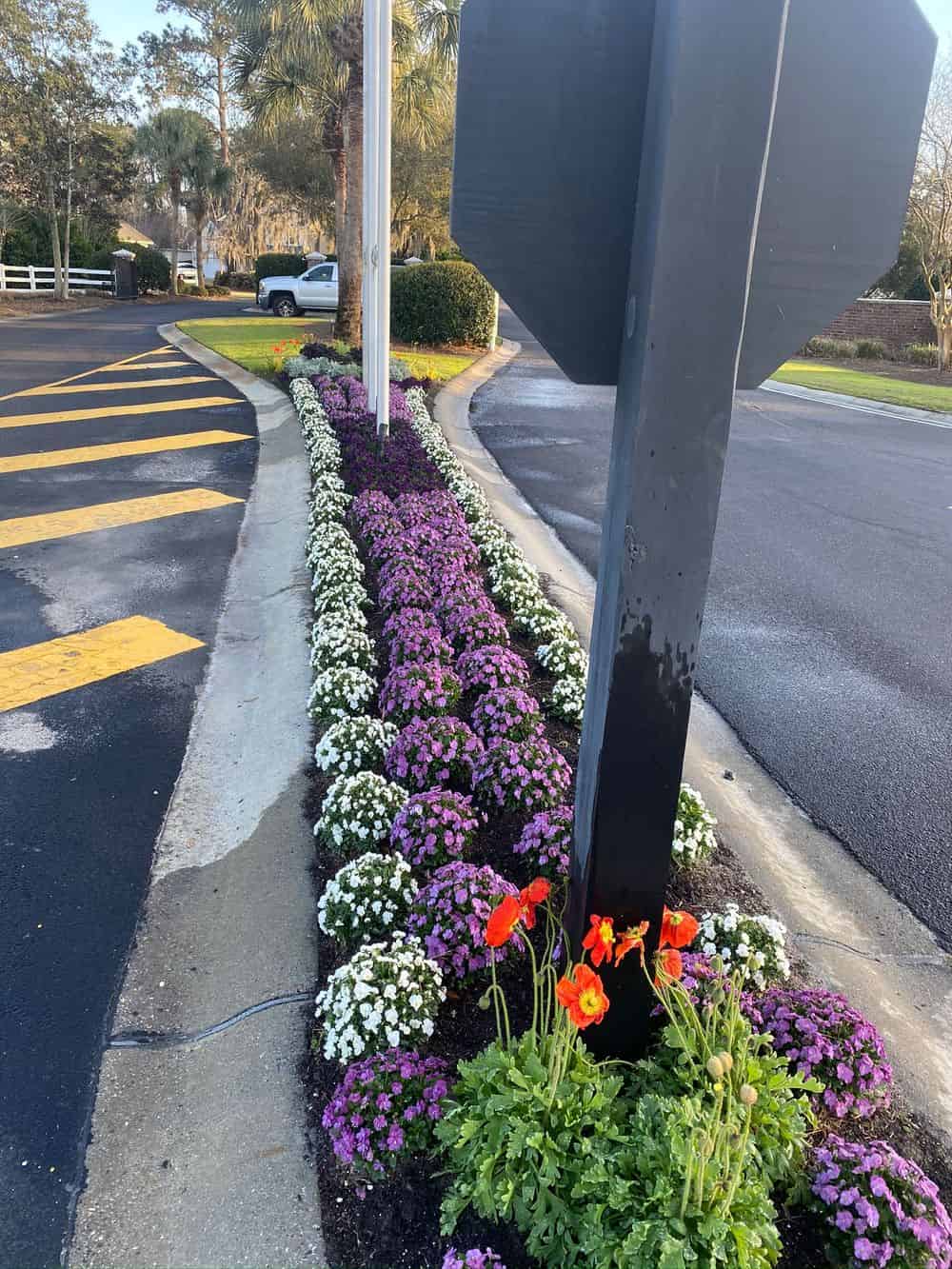 Seasonal Color Displays image