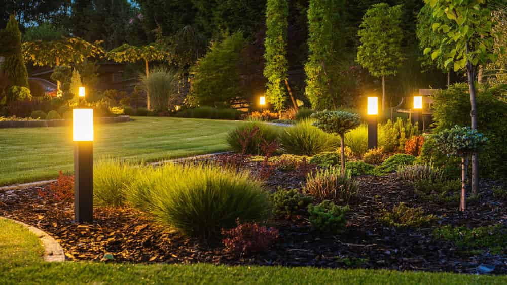 Landscape Lighting image