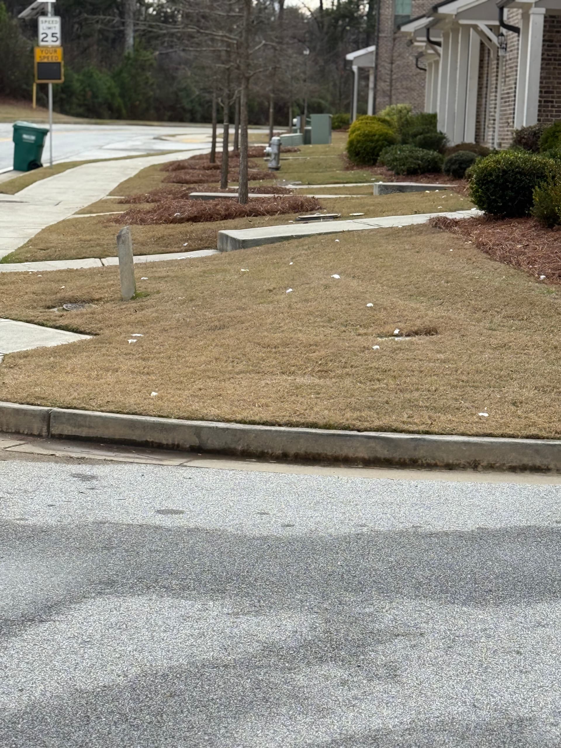 Gallery photos for Restoring Lush Lawns with Precision Care: Image #2