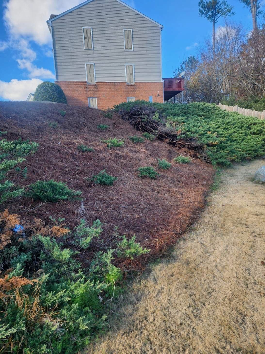 Gallery photos for Stabilizing a Lake Embankment: Image #7