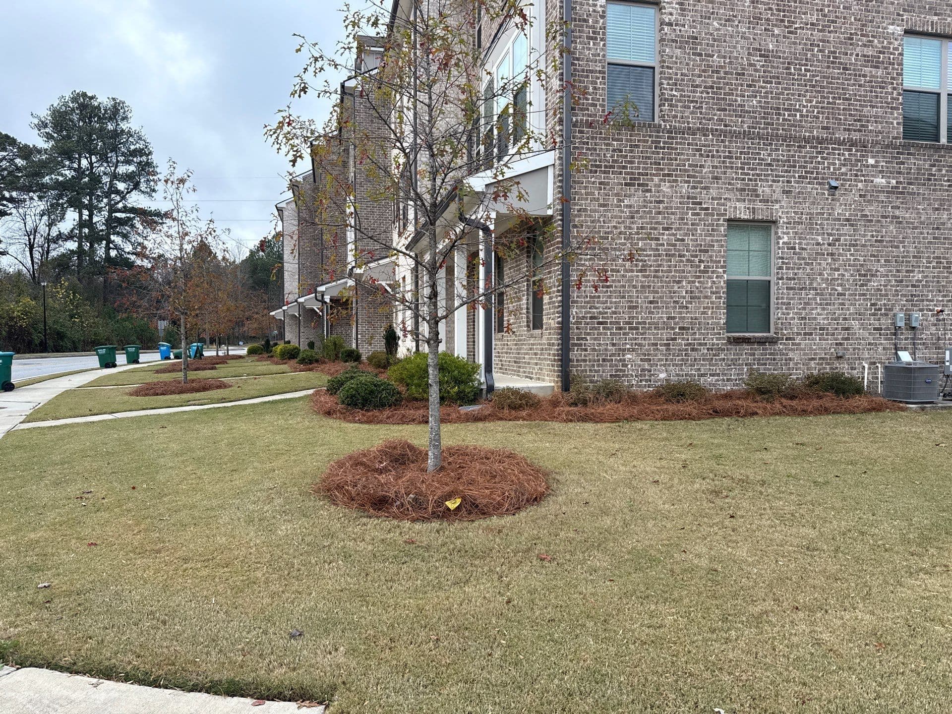 Gallery photos for Keeping Communities Picture Perfect with Expert Landscape Maintenance: Image #4