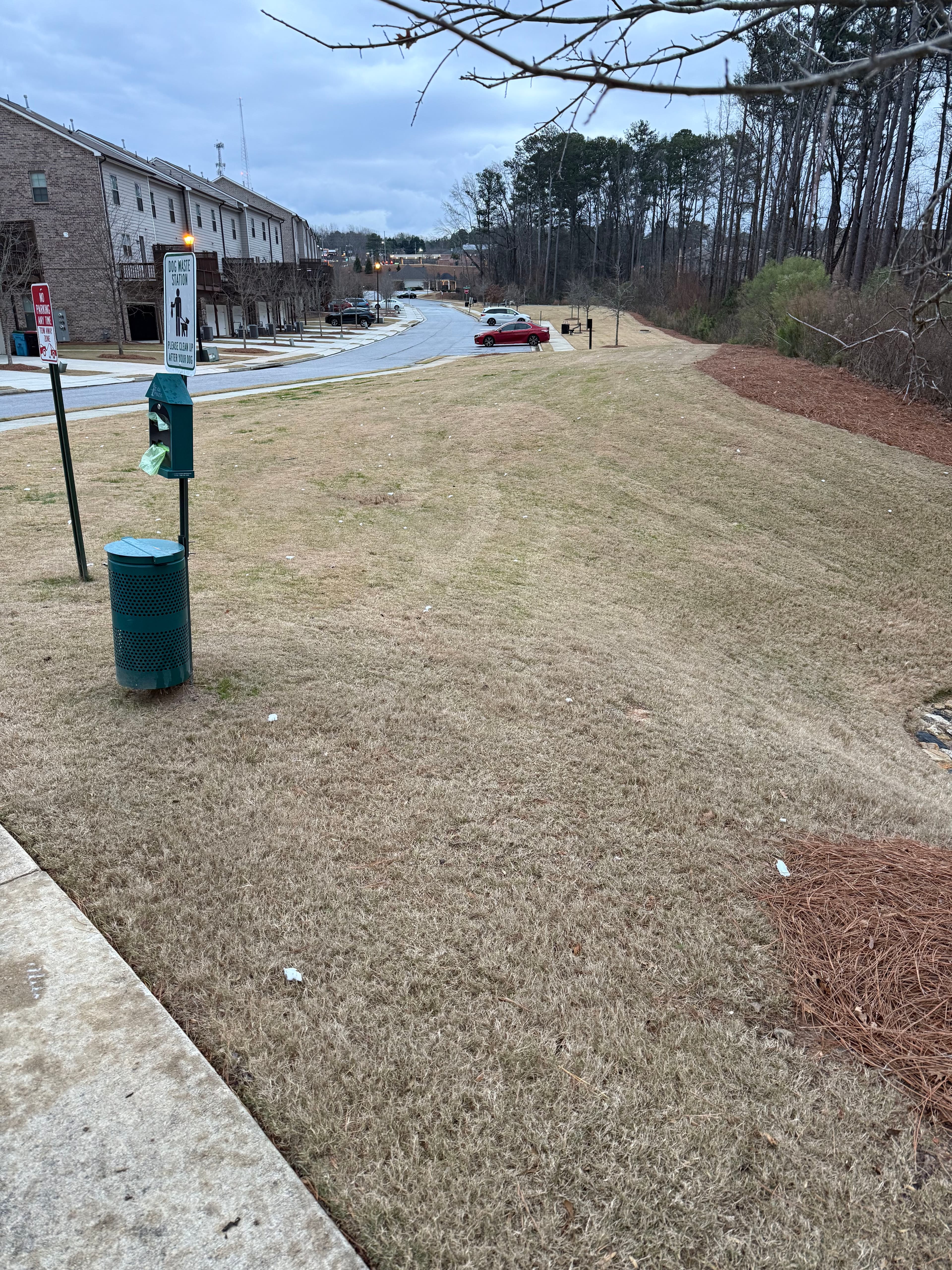 Project Restoring Lush Lawns with Precision Care image