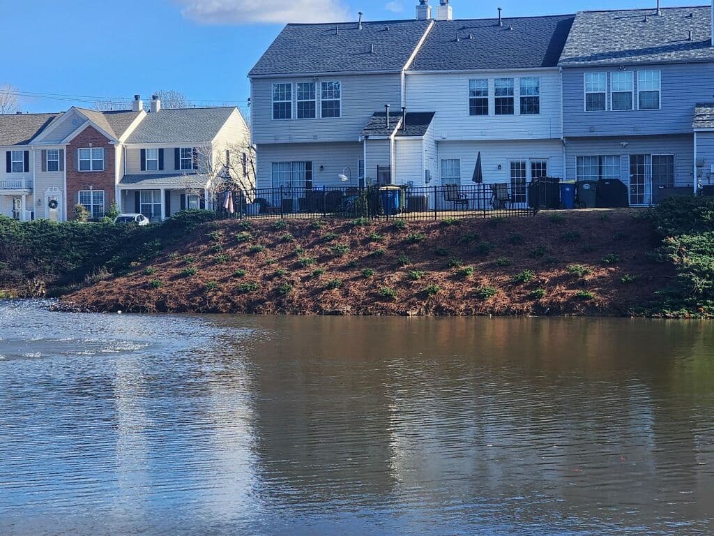 Gallery photos for Stabilizing a Lake Embankment: Image #8