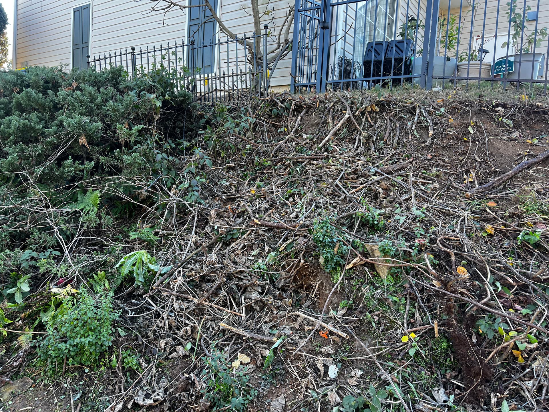 Stabilizing a Lake Embankment image