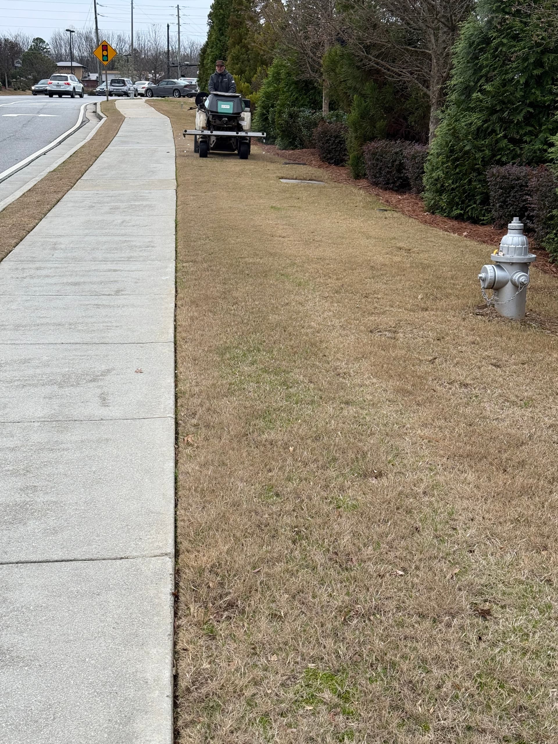 Gallery photos for Restoring Lush Lawns with Precision Care: Image #1
