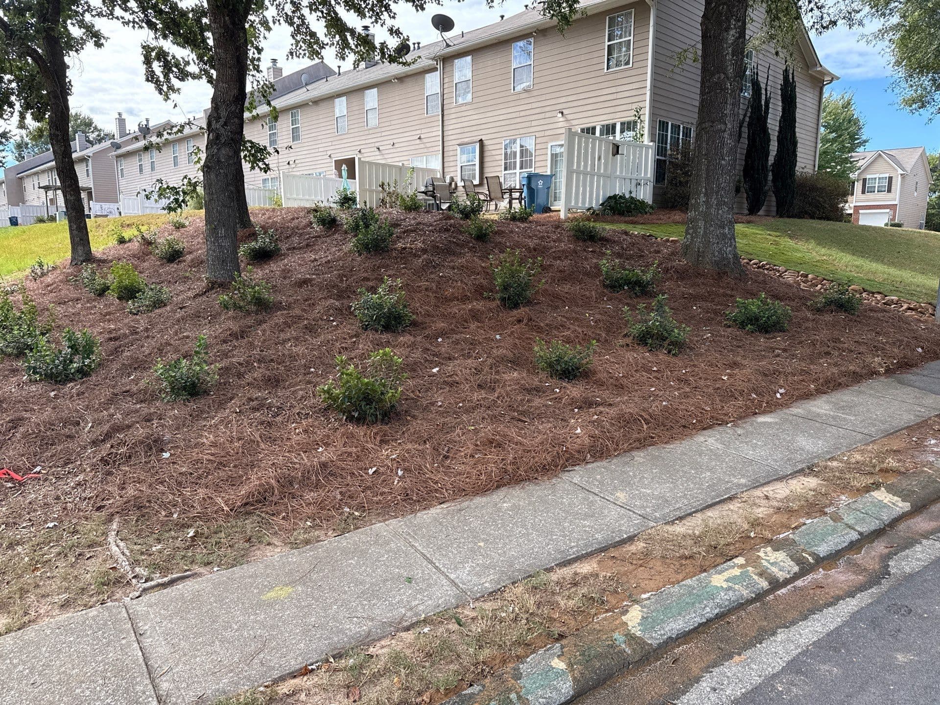 Gallery photos for Effective Erosion Control with Stunning Dry Creek Bed: Image #7