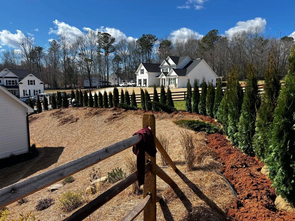 Scenic view of a landscaped yard with evergreen trees and a wooden fence under a blue sky.