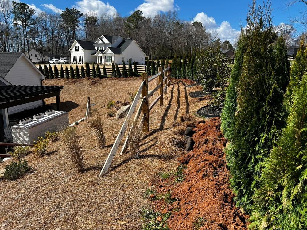 Landscape featuring a fenced garden, decorative shrubs, and newly planted trees under a blue sky.