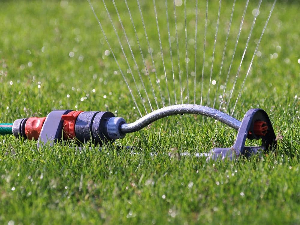Garden sprinkler watering lush green grass in sunny outdoor setting.
