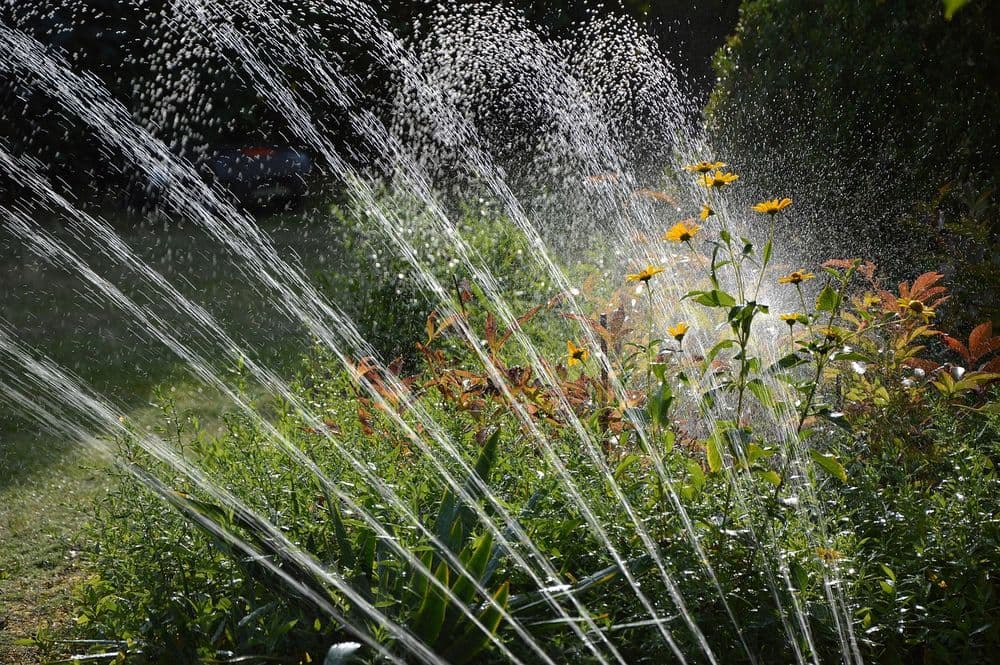 Garden sprinkler watering vibrant flowers and lush greenery in a sunny setting.