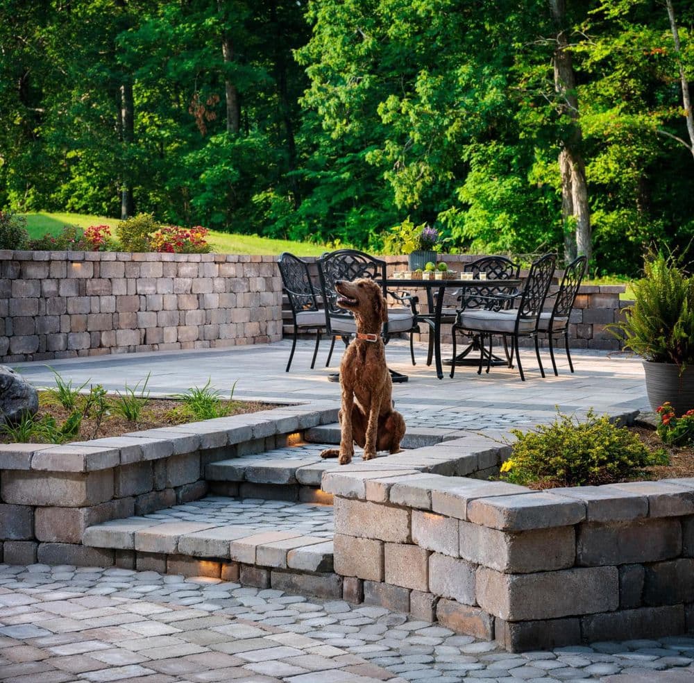 Brown dog sitting on stone steps in a landscaped patio with outdoor furniture and greenery.