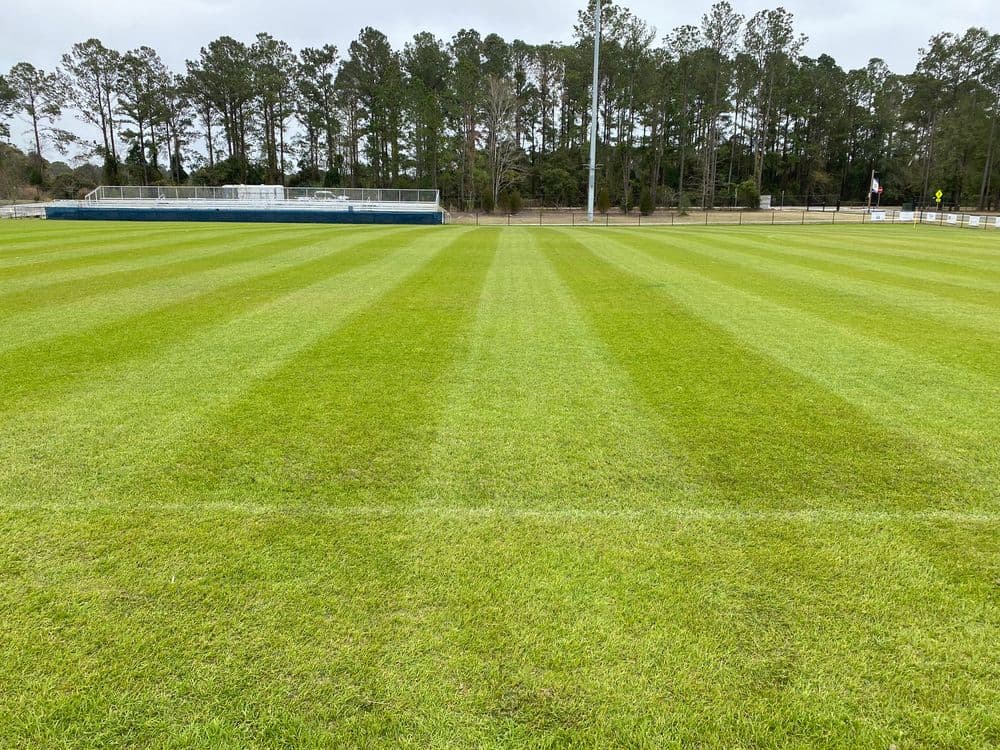 Well-maintained soccer field with green grass and lined markings, surrounded by trees.