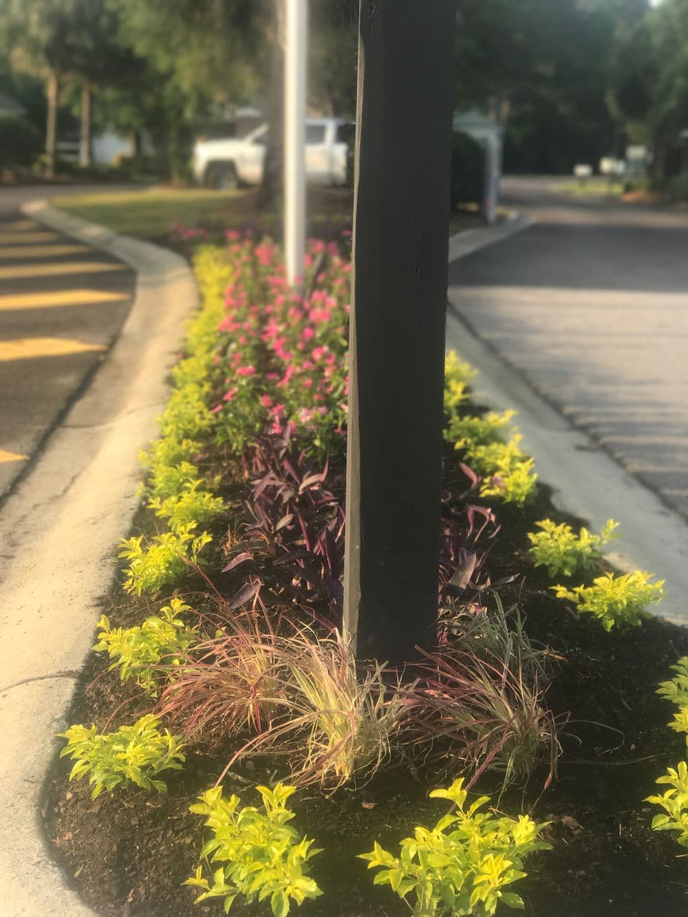 Colorful flowerbed with pink and green plants alongside a curbside post.